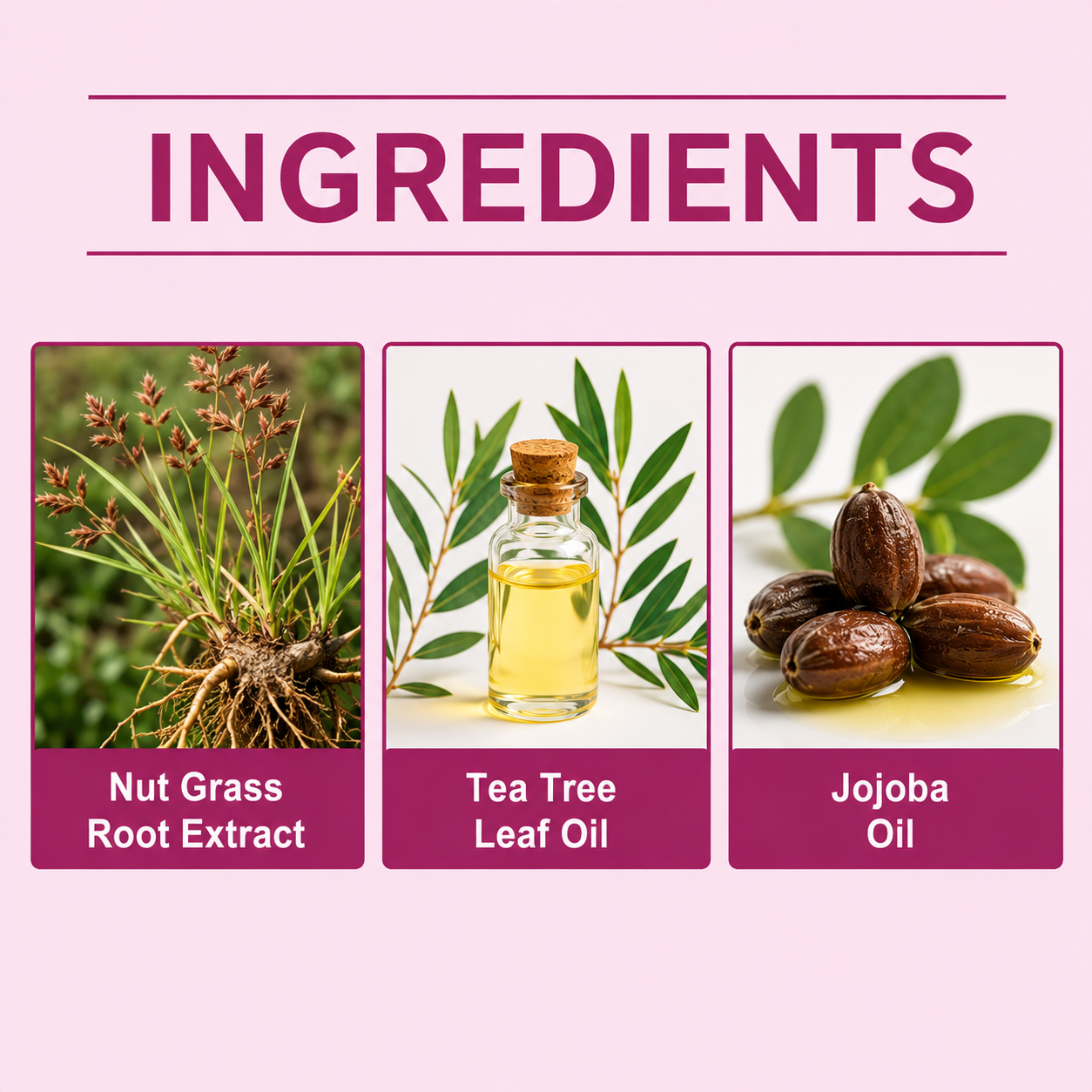 Cyperus Rotundus Oil
